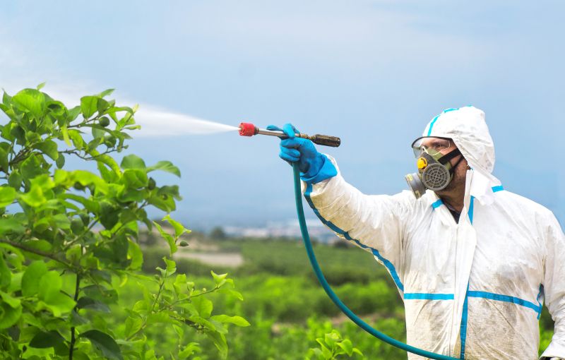 Commercial Fumigation in Phoenix, AZ