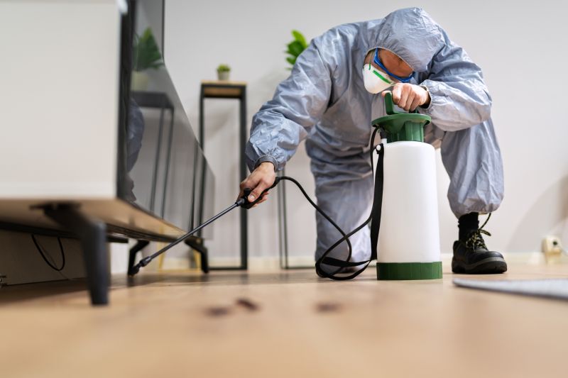 Residential Fumigation in Katy, TX