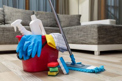 Get Clean Up Services After Removing Rats