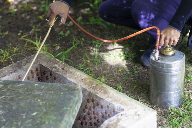 Pest Fumigation Service in Bellingham, WA