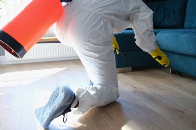 Roach Fumigation in Phoenix, AZ